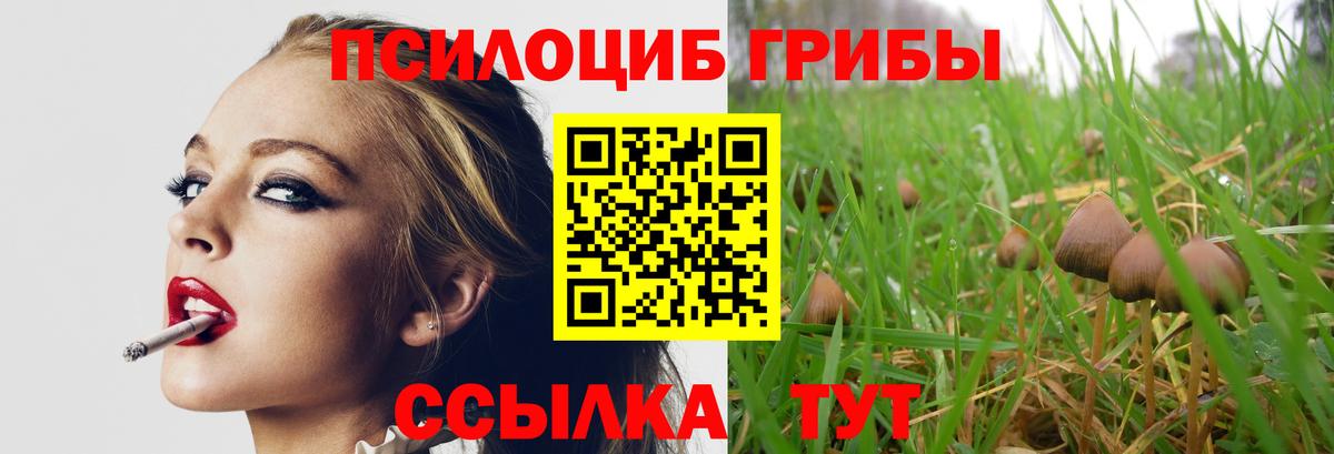 Галлюциногенные грибы Psilocybine cubensis Октябрьский
